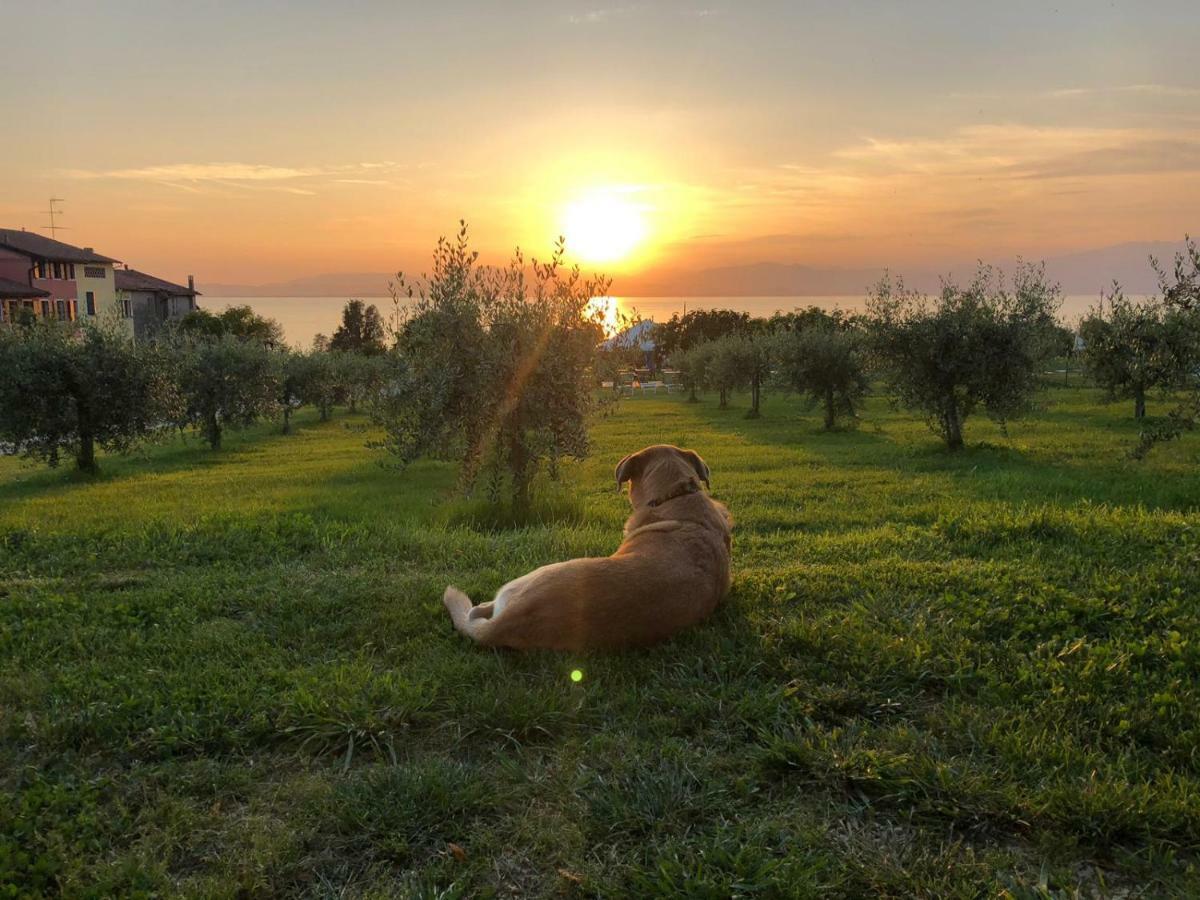 Agriturismo Al-Bor Lazise Bagian luar foto
